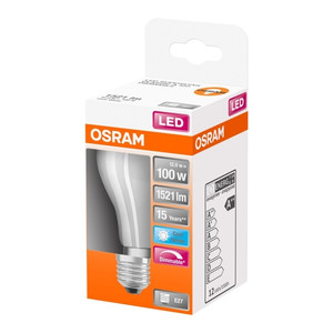 LED Bulb A100 E27 12W 1521lm