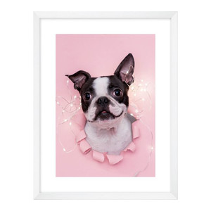 Picture Dog Pink 30 x 40 cm