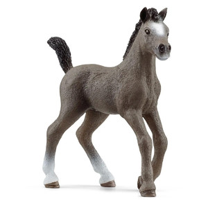 Schleich Selle Français Foal 3+