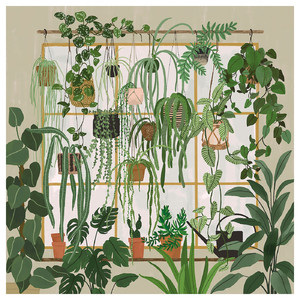 PJÄTTERYD Picture, garden shop window, 56x56 cm