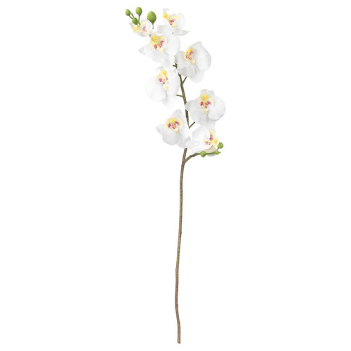 SMYCKA Artificial flower, Orchid, white, 60 cm