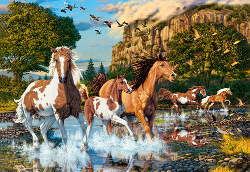 Castorland Jigsaw Puzzle Horse Wonderland 1000pcs