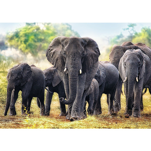 Trefl Jigsaw Puzzle African Elephants 1000pcs 12+