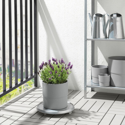 NYPON Plant pot, indoor/outdoor, grey, 19 cm