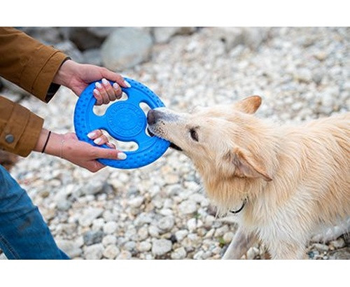 Kiwi Walker Let's Play Dog Toy Frisbee Mini, blue