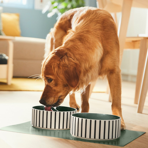 UTSÅDD Pet bowl, stripe pattern black-blue/grey-green, 19 cm