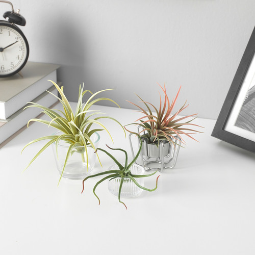 FEJKA Artificial plant, set of 3, air plant