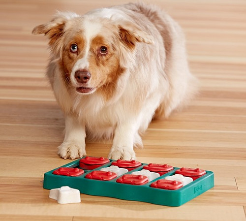 Nina Ottosson Brick Dog Brick Educational Game