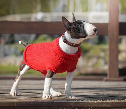 Zolux Dog Sweater Legend T30 30cm, red