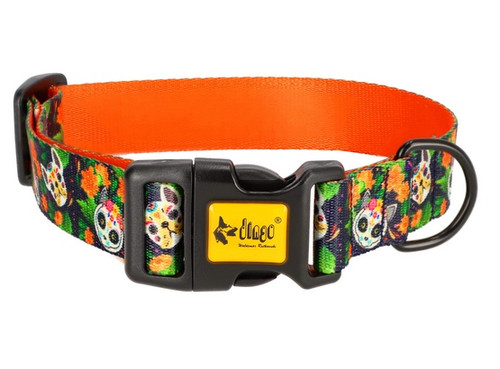 Dingo Adjustable Dog Collar City - Chiapas 3.0cm/60cm