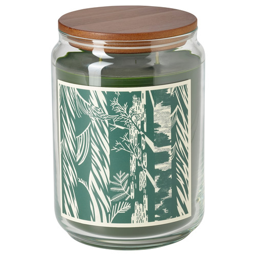 JÄMTSKOGEN Scented cndl in glass w lid/2 wicks, cypress & eucalyptus/dark green, 100 hr