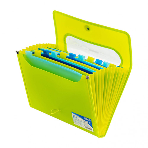 Document Folder with 12 Pockets A4 25mm, green