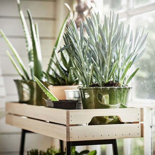 VANILJSTÅNG Plant stand, pine/black, 27x67 cm