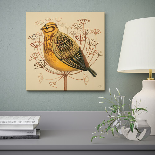 PJÄTTERYD Picture, yellowhammer, 40x40 cm