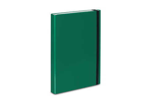 Box File with Ring Binder A4 1pc, green