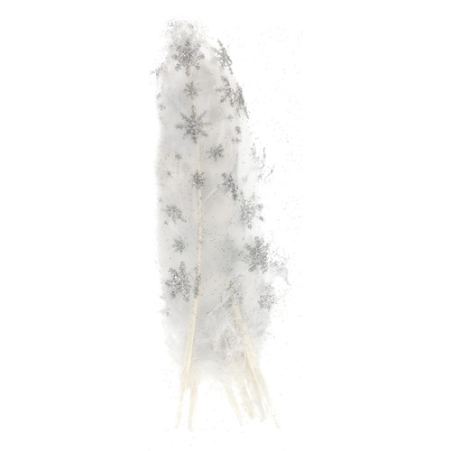 Craft Christmas Decorative Feathers, white/stars, 17-22cm