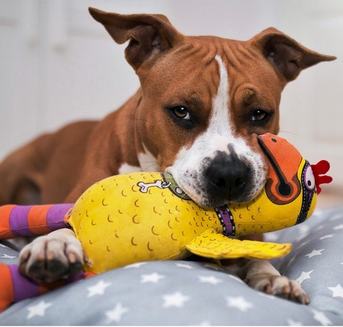 Fat Cat Dog Toy Chicken