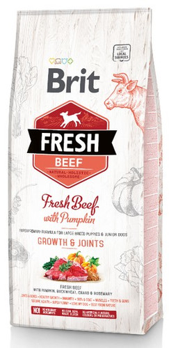 Brit Dog Food Fresh Dog Puppy Large Beef & Pumpkin 12kg