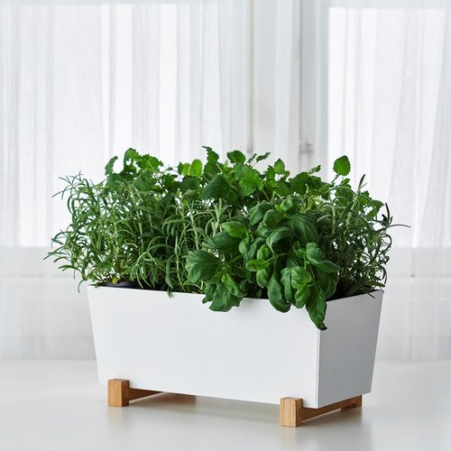 BITTERGURKA Plant pot, white, 32x15 cm