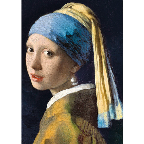 Trefl Jigsaw Puzzle Art Collection Girl with a Pearl Earring 1000pcs 12+