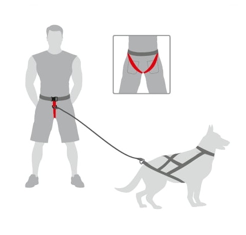 Dingo Belt for Running with Dog, 4 variants