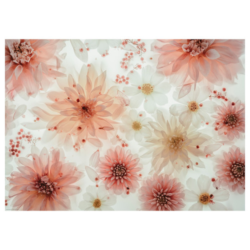 BILD Poster, flowers-transparent, 70x50 cm