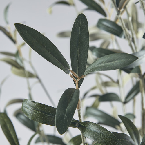 FEJKA Artificial potted plant, in/outdoor Olive tree, 19 cm