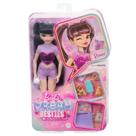 Barbie Dream Besties Renee Fashion Doll HYC24 4+