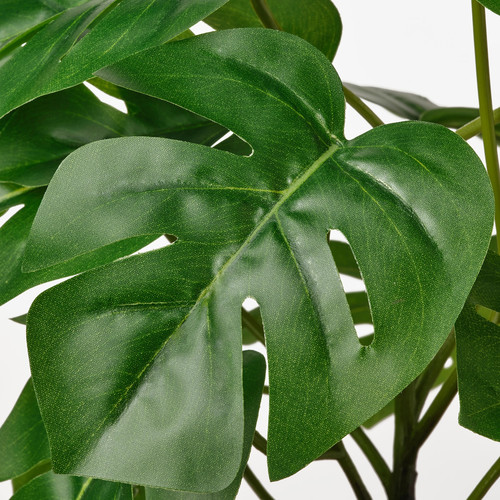 FEJKA Artificial potted plant, in/outdoor Monstera, 12 cm