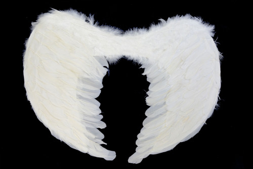 Angel Wings 58x39