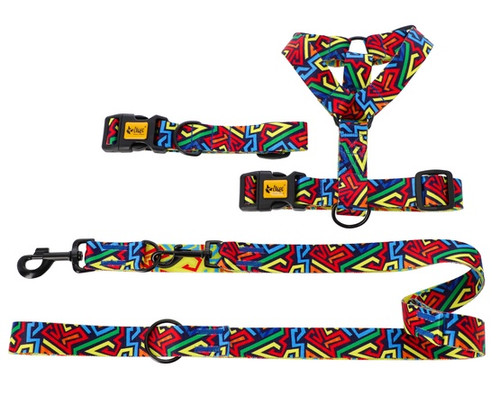 Dingo Adjustable Dog Collar City - Graffiti 2.0cm/45cm