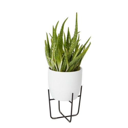 Plant Pot Stand GoodHome 12 cm, black