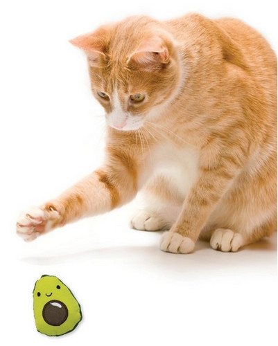 Petstages Lil' Avocato Cat Toy