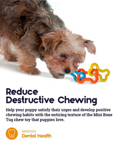 Petstages Mini Bone Tug Dog Chew Toy