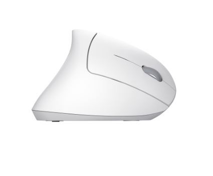 Trust Optical Wireless Mouse Verto Ergo, white