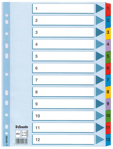 Esselte Index A4 Cardboard 1-12