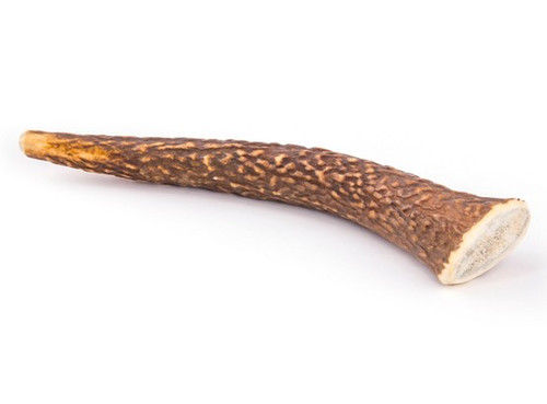 4DOGS Natural Dog Chew from Discarded Antlers, XL Hard 1pc