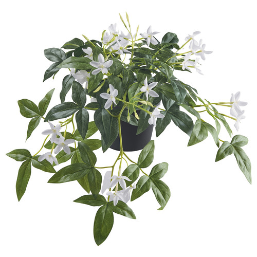 FEJKA Artificial potted plant, in/outdoor/hanging jasmine, 12 cm