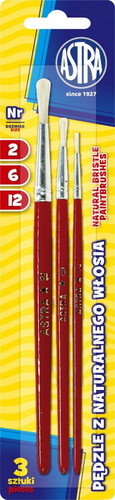 Astra Paintbrushes Set Natural Bristle 12pcs