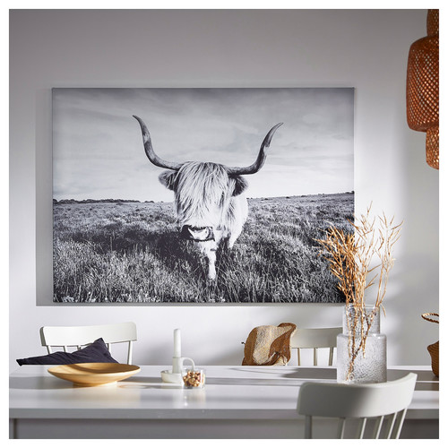 BJÖRKSTA Picture with frame, curious cow/aluminium-colour, 140x100 cm