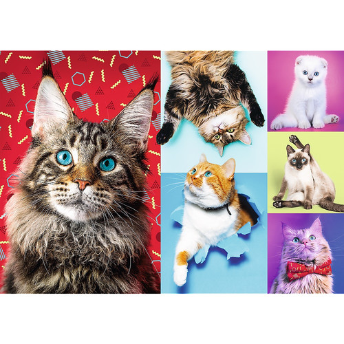 Trefl Jigsaw Puzzle Happy Cats 1000pcs 12+