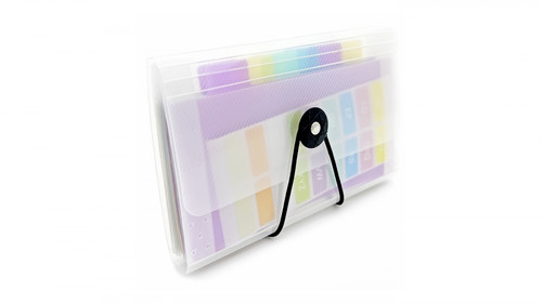 Document File Folder PP 18x12 13 Compartments, transparent