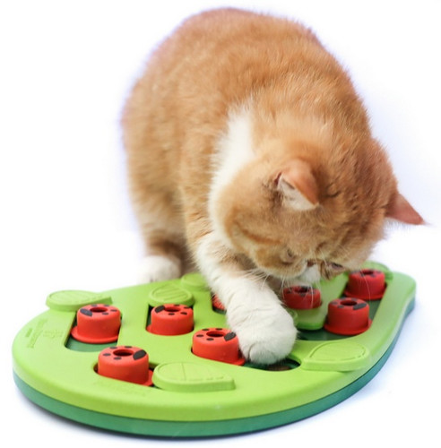 Nina Ottosson Buggin Out Puzzle & Play Cat Game