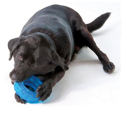 Petstages Orka Tire Dog Toy