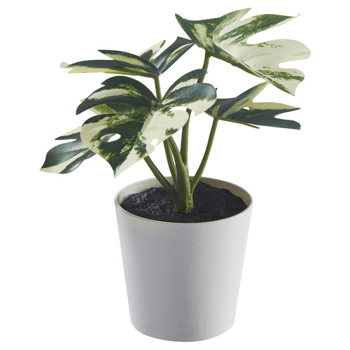 FEJKA Artificial potted plant with pot, in/outdoor Monstera, 6 cm