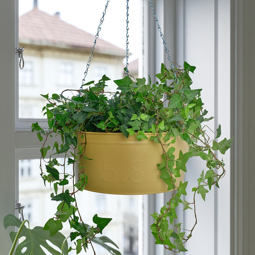 ÅKERBÄR Hanging planter, in/outdoor yellow, 27 cm