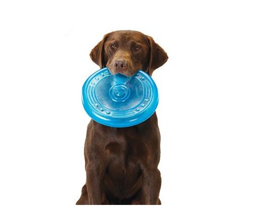 Petstages Orka Flyer Dog Disc Large