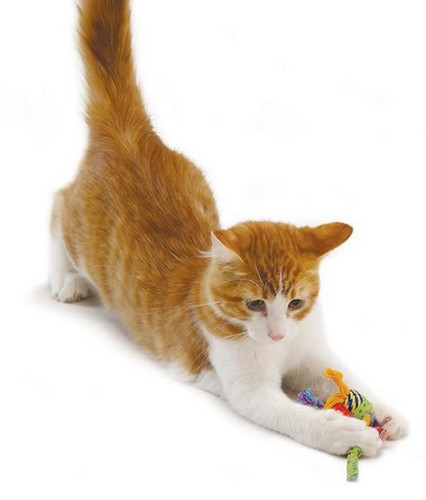 Petstages Fabric Ball Cat Toy