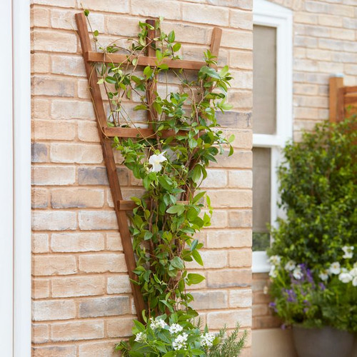 Garden Fan Trellis Panel 120 x 68 cm