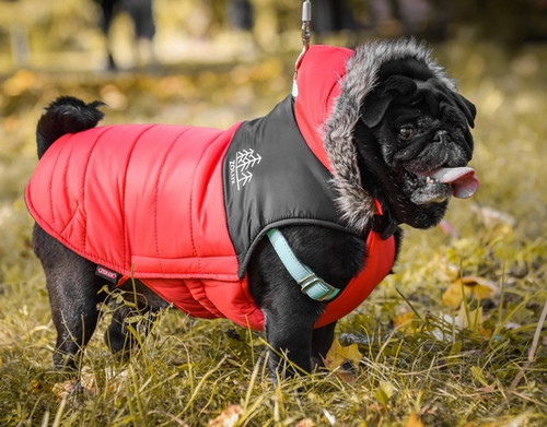 Zolux Quilted Dog Coat Winter Jacket Mountain 35cm, red